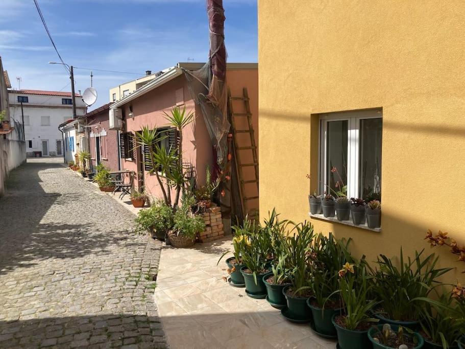 Casa Nova Villa Apúlia Exteriör bild